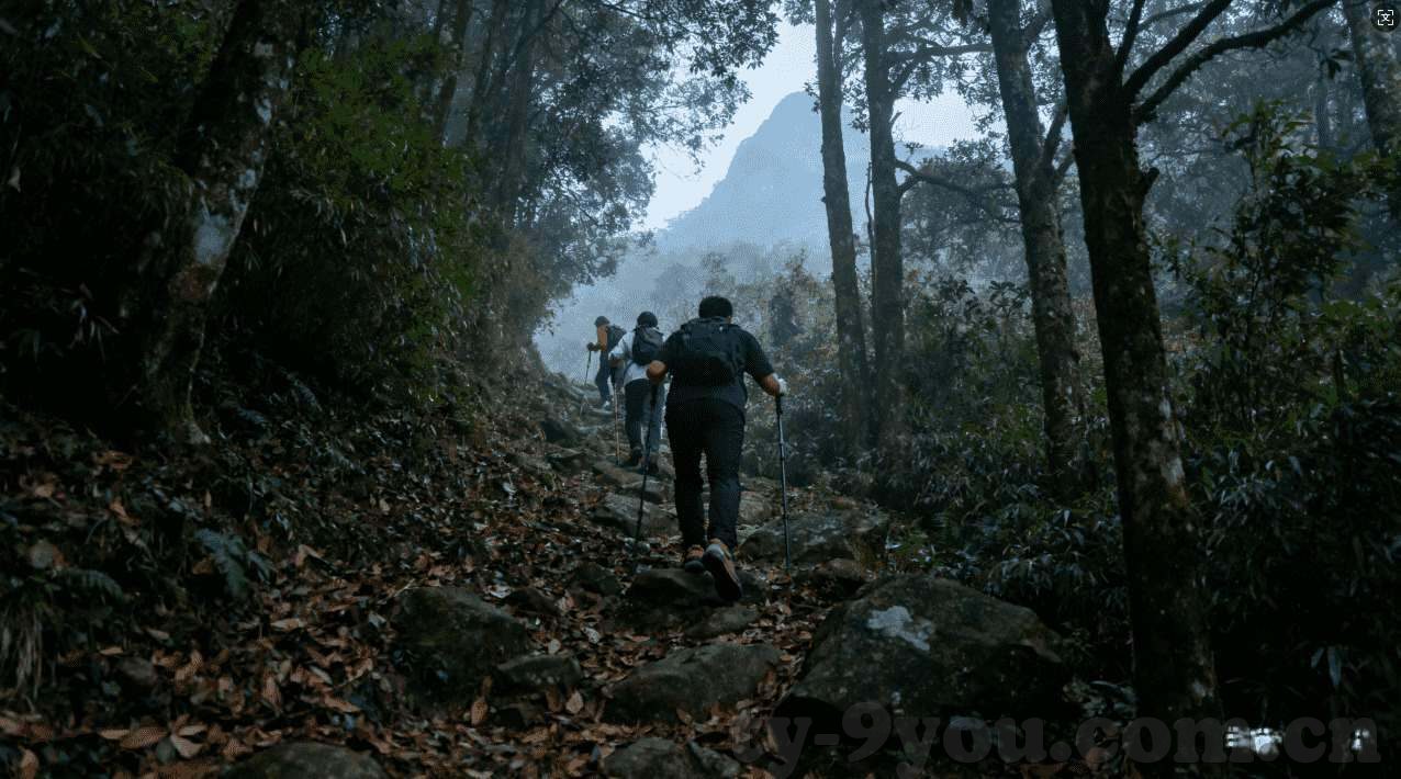 富彩9158官方网站-富彩9158官方网站，一个独特体验的在线娱乐冒险